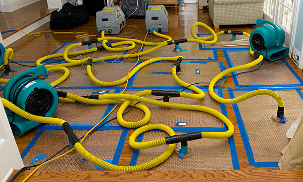 Professional Structural Drying And Dehumidification technician working in Swansea, MA